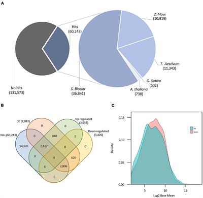 Transcriptomic Analysis of Changes in Gene Expression During Flowering Induction in Sugarcane Under Controlled Photoperiodic Conditions